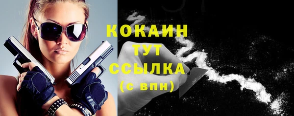 мяу мяу мука Аркадак