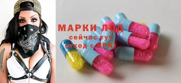 мяу мяу мука Аркадак
