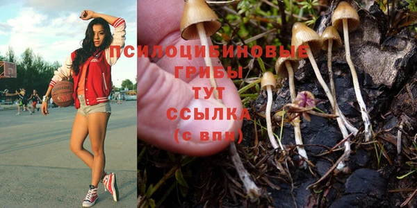 мяу мяу мука Аркадак
