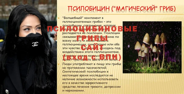 прущий лед Арсеньев