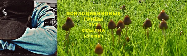 метамфетамин Армянск